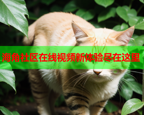 海角社区在线视频新体验尽在这里