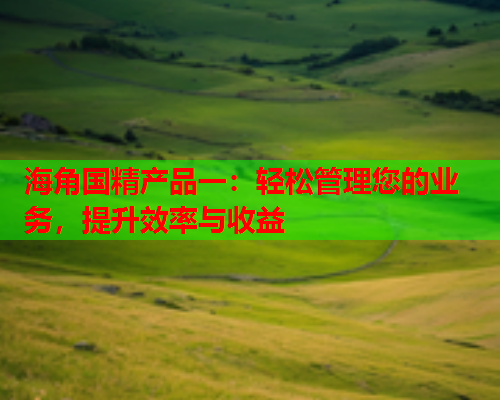 海角国精产品一：轻松管理您的业务，提升效率与收益